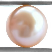 Gyöngy pezsgő 2