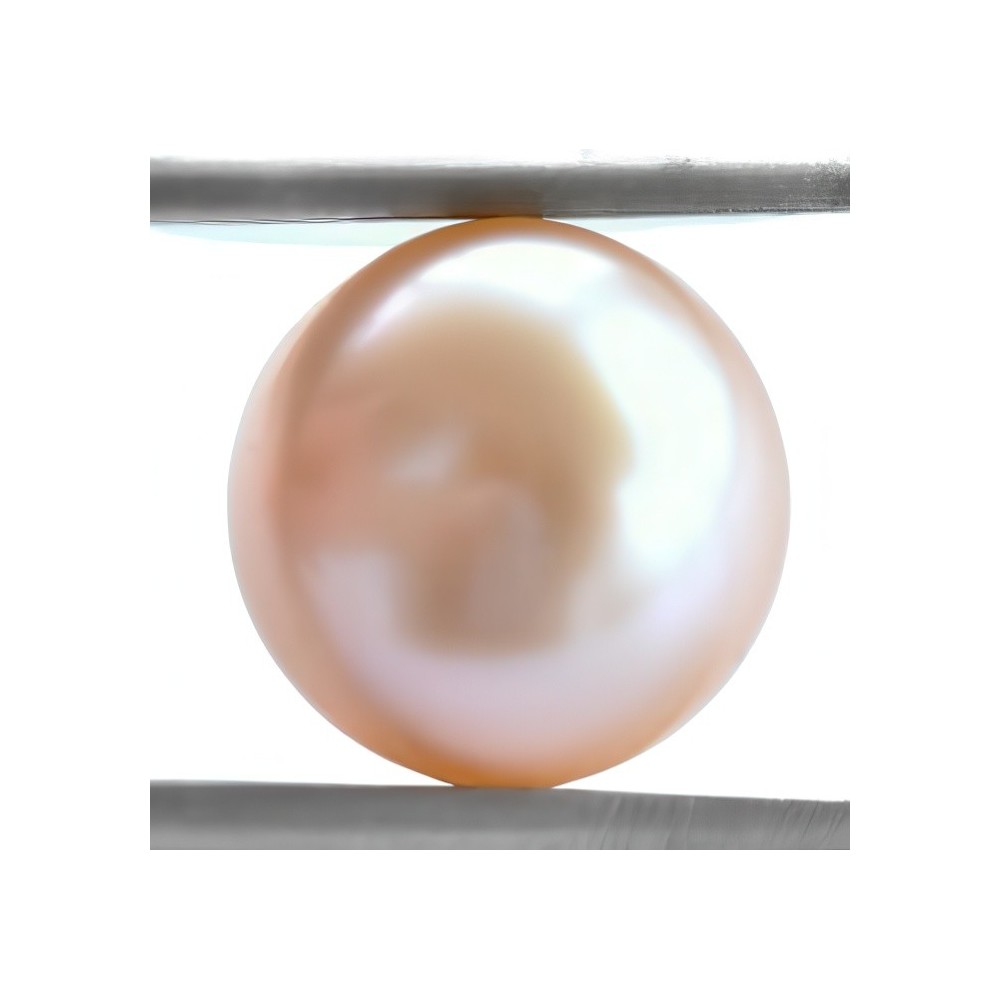 Champagne pearl button type