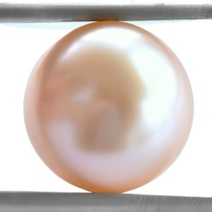 Champagne pearl button type