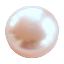 perla champagne rotunda